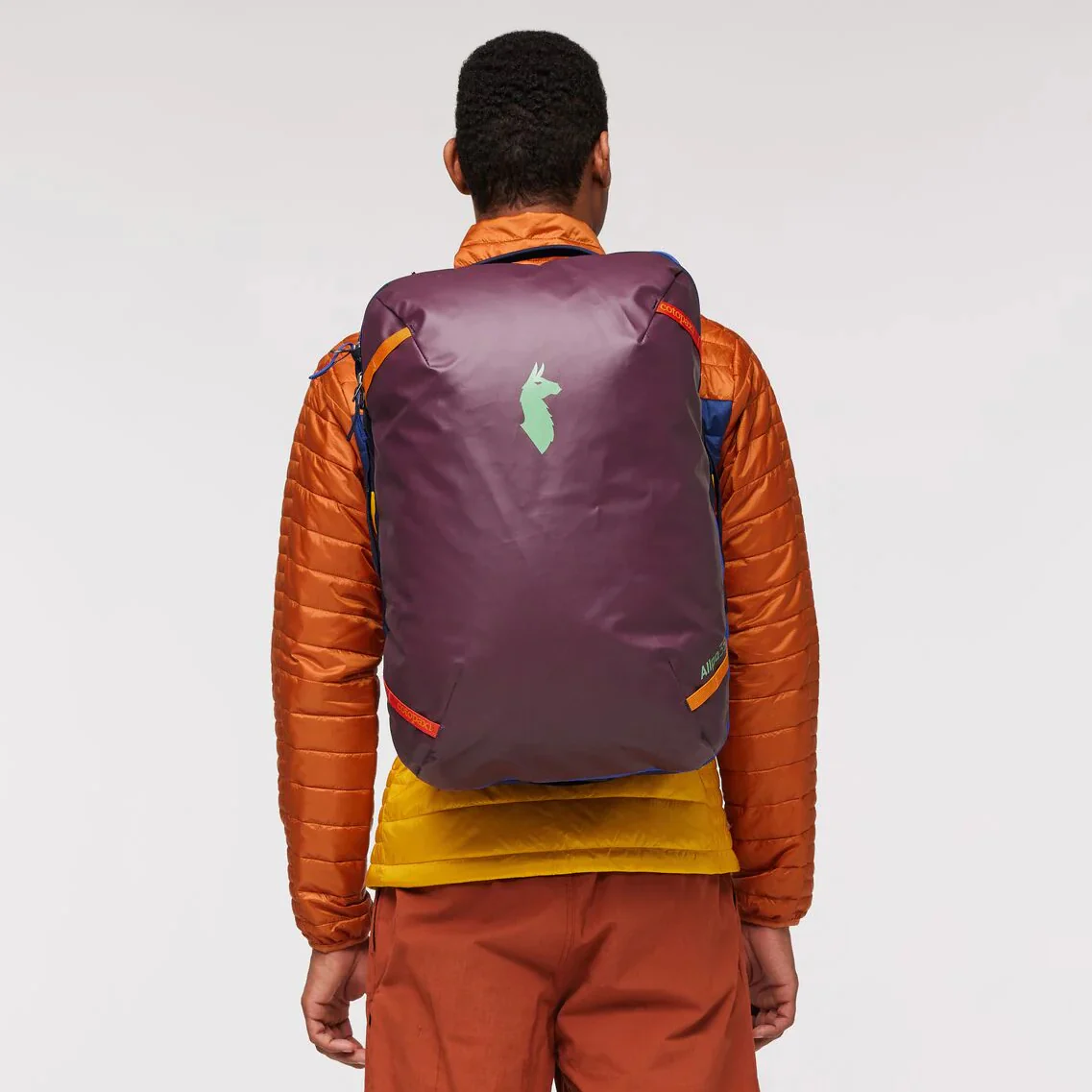 Cotopaxi - Allpa 35 Travel Pack (Past Season) - Image 7