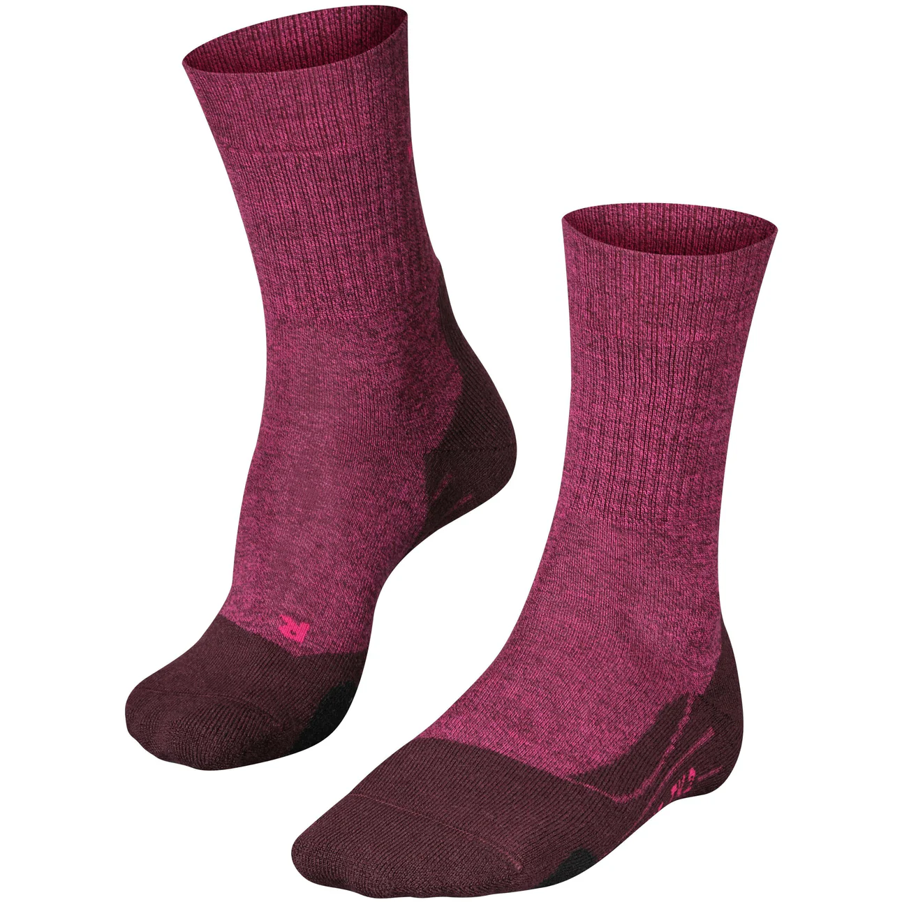Falke - Women's TK2 Wool - Image 5